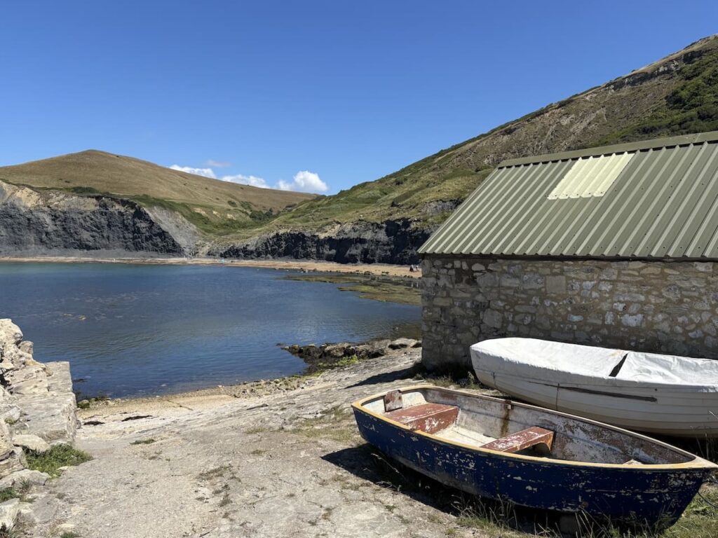 Purbeck Dinosaur Footprints