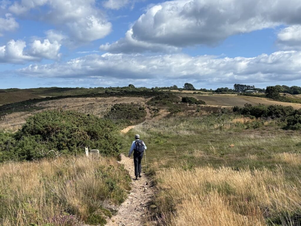 Purbeck Heaths National Nature Reserve 