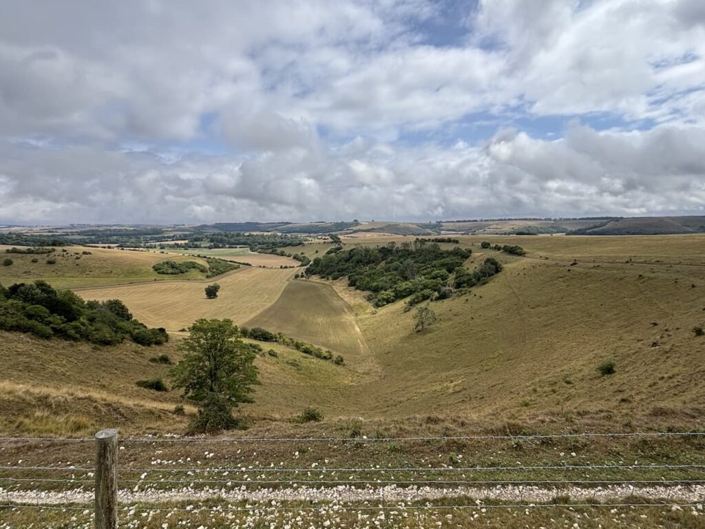 Old Shaftesbury Drove and Gallows Hill